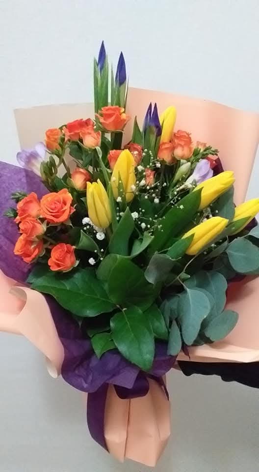 WhatsApp Image 2026-02-12 at 20.16.57