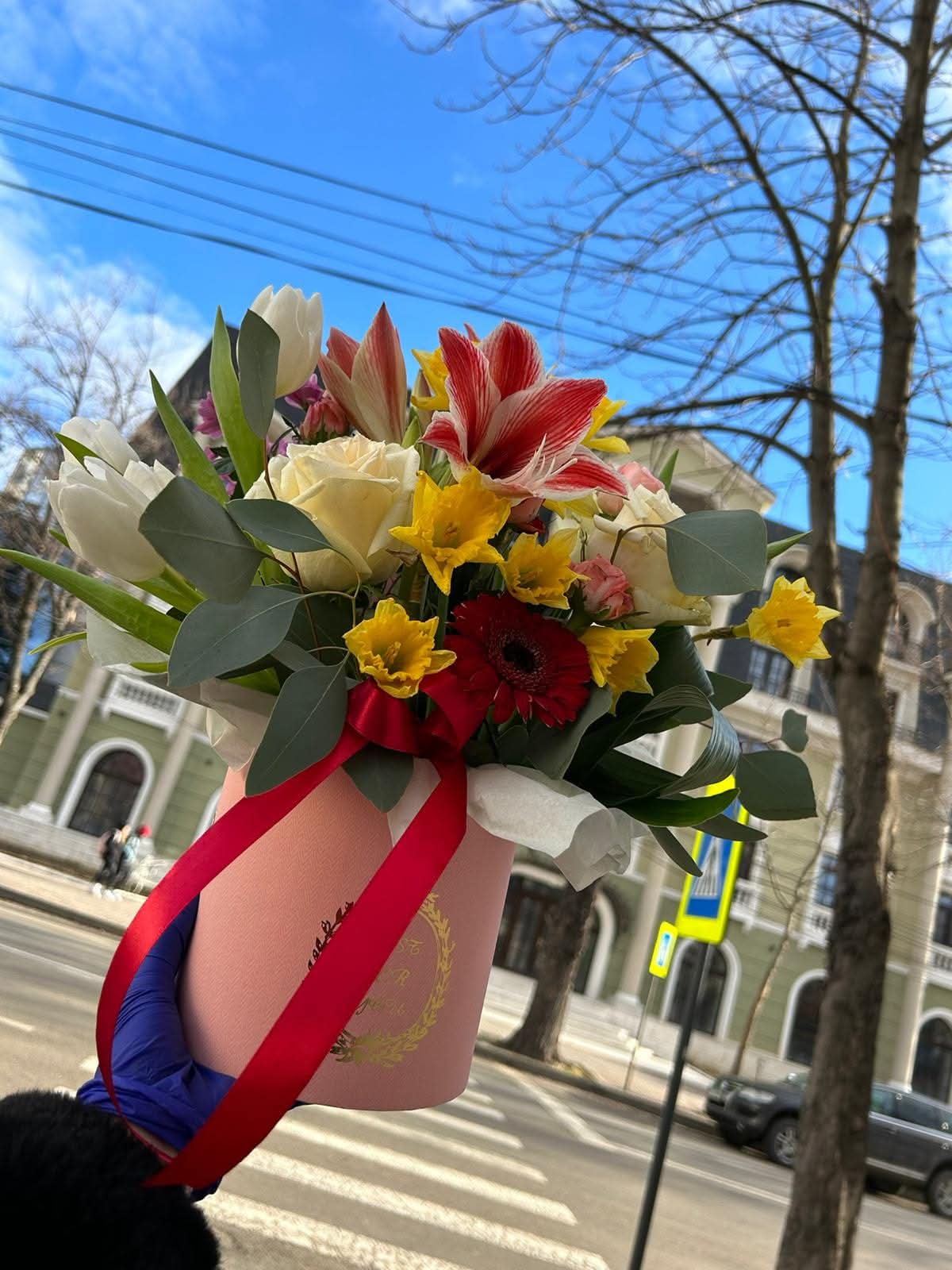 WhatsApp Image 2026-02-12 at 20.40.34